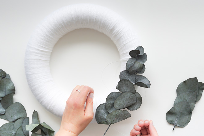 Türkranz selber machen: Für den Advent, DIY-Idee, Eukalyptus mit Nylonfaden auf Kranz befestigen