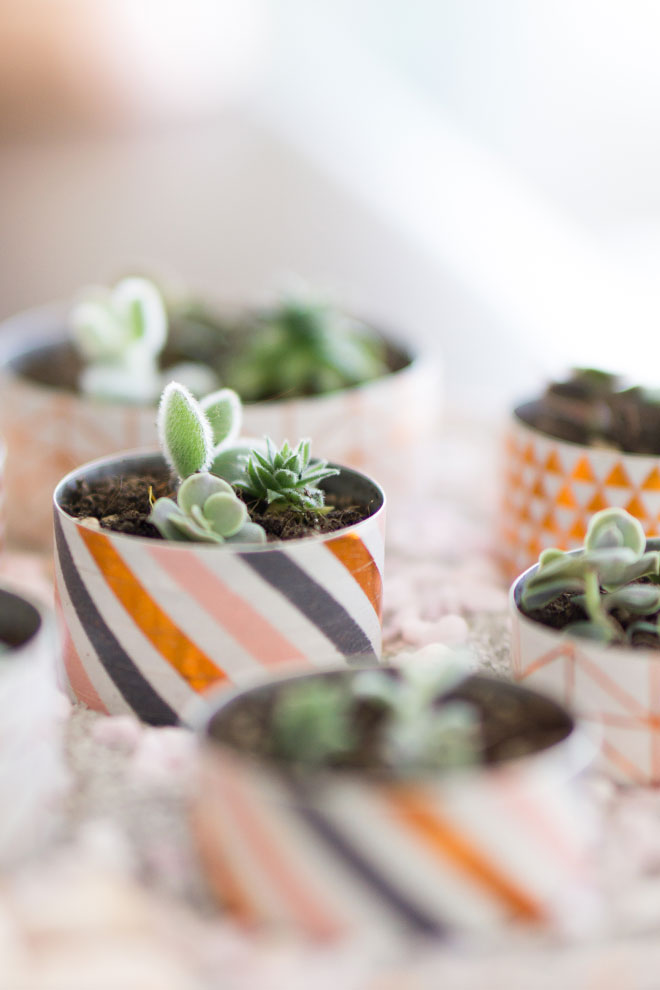 DIY-Idee: Minigarten basteln mit Teelichtern mit Schritt für Schritt Anleitung. Einfaches Upcycling Projekt mit Teelichtern und Washi Tapes mit Bildern erklärt. Ein toller Minigarten für winzig kleine Sukkulenten zum Verlieben. 