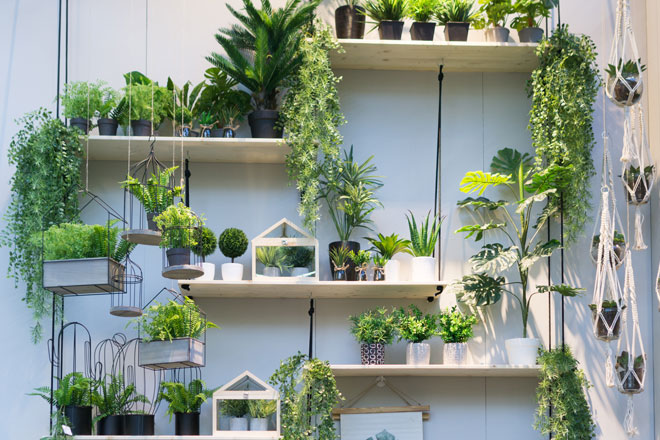 Pflanzen Deko 2018 auf der Ambiente, Boltze Home Collections Ideen mit Pflanzen