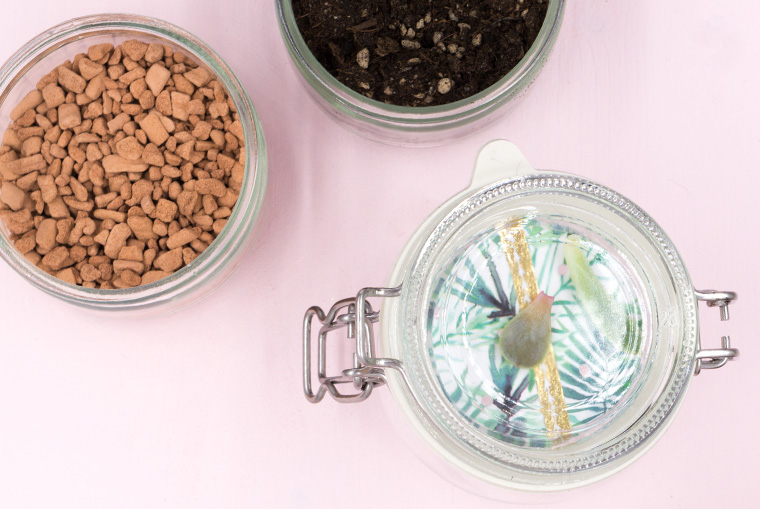 Einweckglas mit Substrat und Erde befüllen für Sukkulenten Blattstecklinge to go