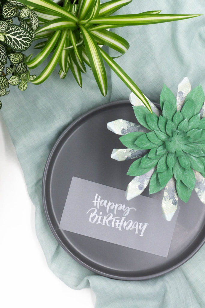 Geldegeschenk Mann: Coole Geschenkidee mit einer Sukkulente aus Papier und Geldscheinen