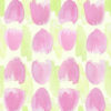 Wallpaper Frühlingsboten Tulpen