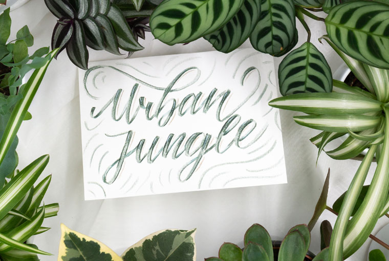 Urban Jungle Handlettering und Calathea, Grünlilien, Sukkulenten