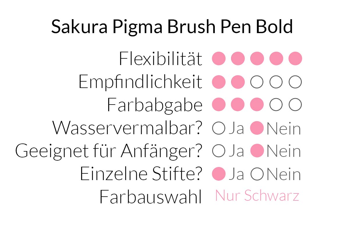 Sakura Pigma Brush Pen Bold im Überblick