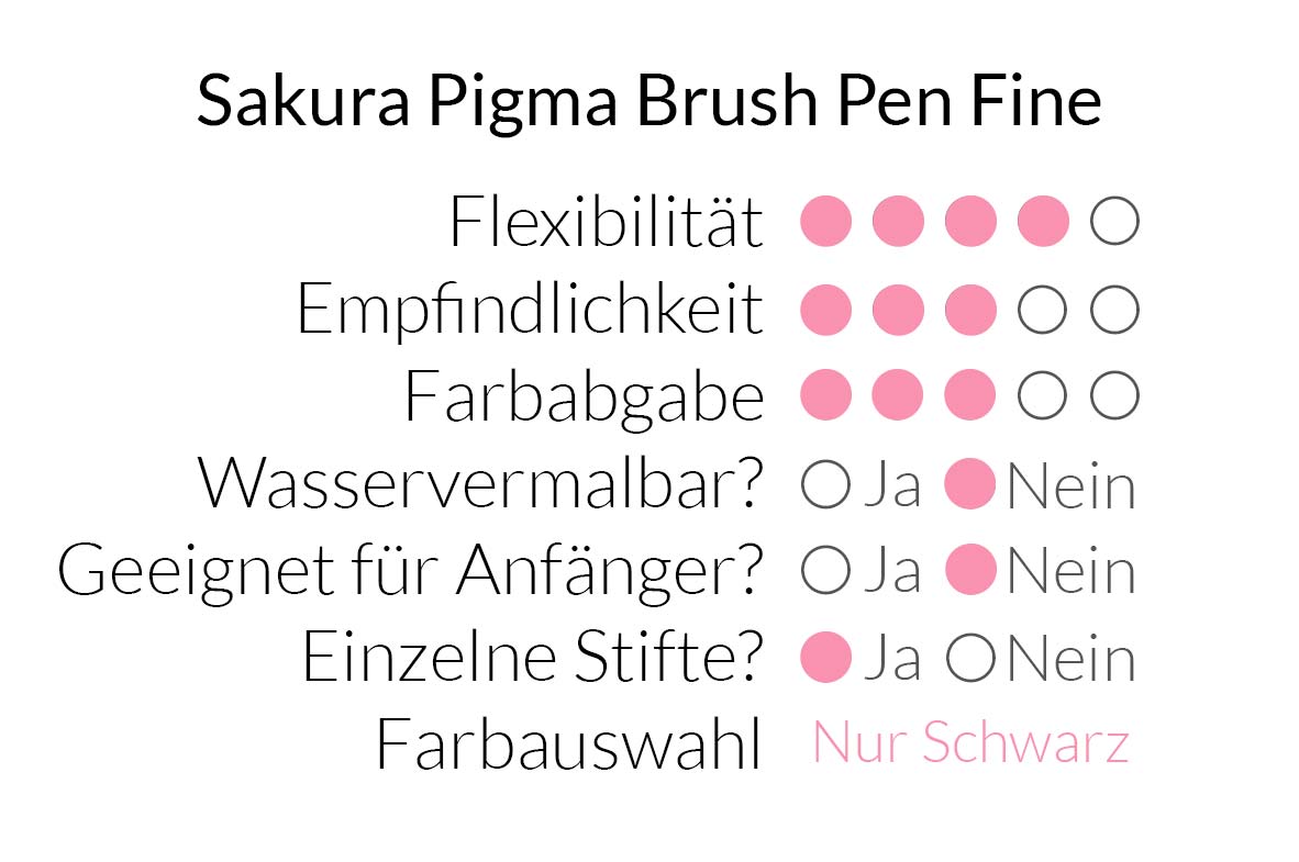 Sakura Pigma Brush Pen Fine im Überblick