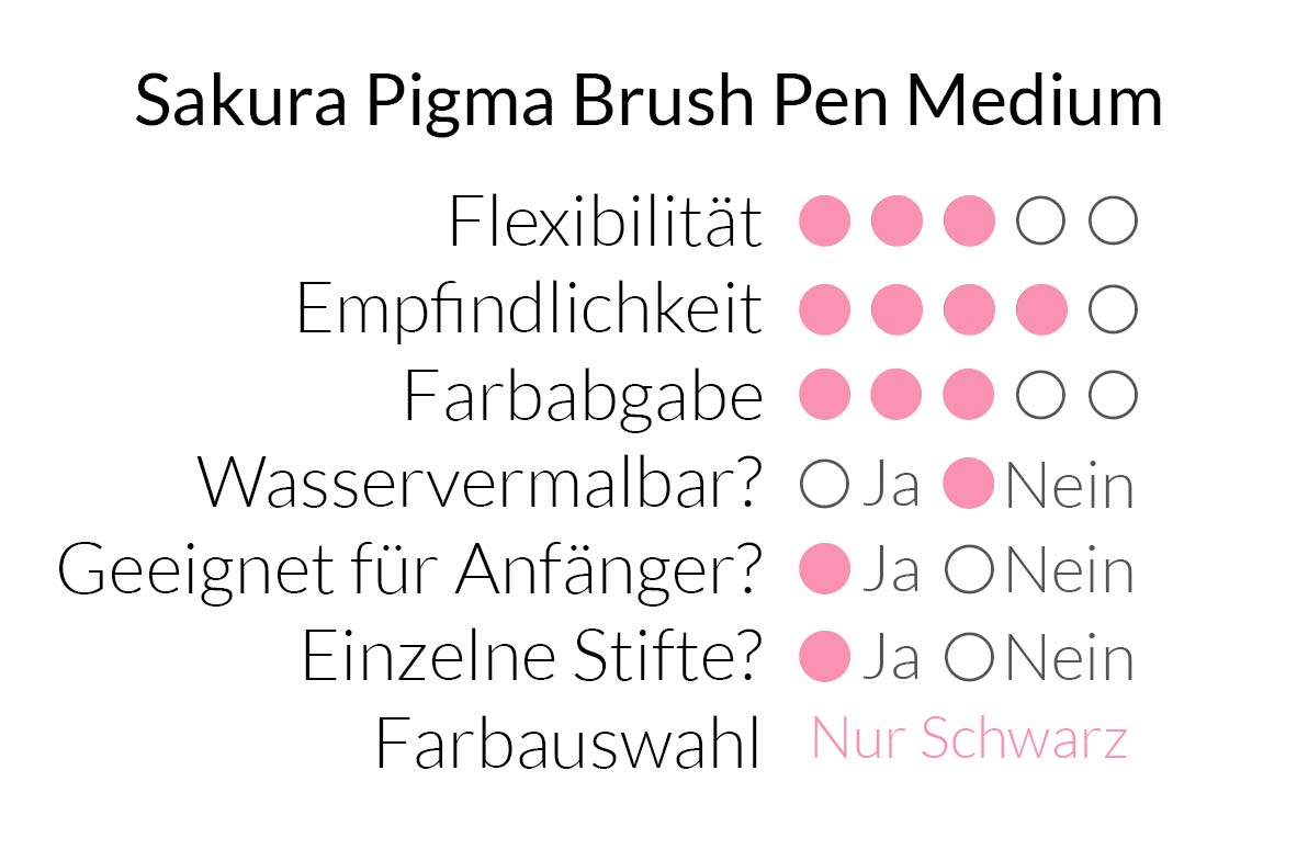 Sakura Pigma Brush Pen Medium im Überblick