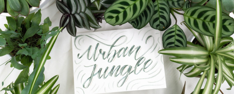 Über 200 Handlettering Sprüche & Worte Inspirationen zum Lettern