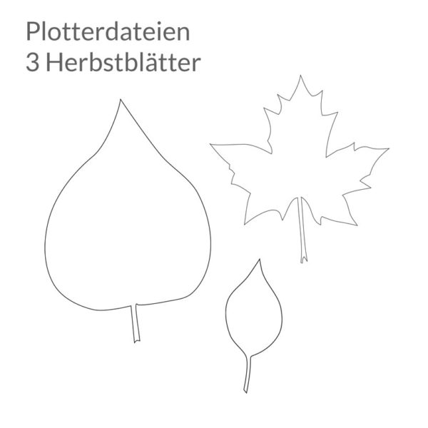 Kostenlose Plottervorlage: Drei verschiedene Herbstblätter